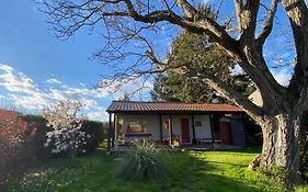 Mobilhome sous chalet en bois au calme à la ferme